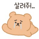 야간영어회화 이미지