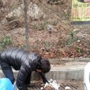 남구정화(주)