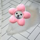 병무청사거리 | 수원 화서동 벚꽃 명소 추천 🌸 숙지공원 &amp; 경기청사옛청사 후기