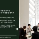법인형제