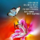 닭이봉 이미지
