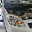 콩이카센타 이미지