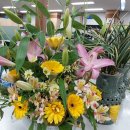 영도구 재활용선별장 이미지