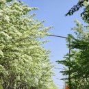 구렛들1길 이미지