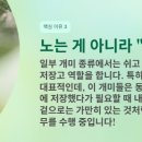 베짱이