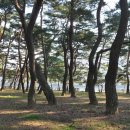 하동포구공원1 이미지