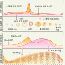 연세길한의원 이미지