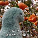 일편단심약국 | 일상 2023년 7월 10일 ~ 7월 16일