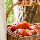 기재농장 이미지