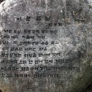 청매실농원 티스토리