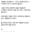 [일반] 463명 체포, 82명 어린이 구출 이미지
