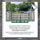 소설가의 낙원 이미지
