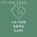 서초 이태형 동물병원