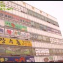 사파동303 이미지