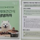 까까댕댕 이미지