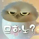 6월16일 화요일 충방 출석부 이미지