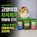 필라인 | 고양이 이빨과자 추천, 고양이껌 치석제거 덴탈껌 간식 그리니즈 필라인 대용량이라 든든해!
