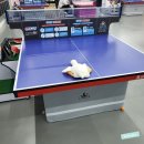 오리게임랜드 이미지