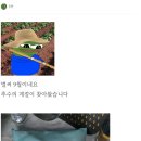 2025 첫 햅쌀먹 리뷰.jpg 이미지