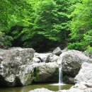 주암산장 Daum카페