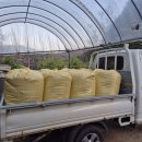 고랑정미소 이미지