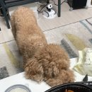 신진등촌골프연습장 이미지