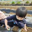 버클리 어린이집 이미지