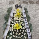 여니플로라 이미지