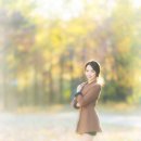 신해리 카카오 검색결과