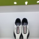 슈올즈 괴정점 이미지