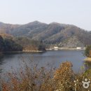 여울애꽃물들인 이미지