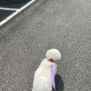 화원연합동물병원 이미지