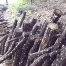 승리농장2 이미지