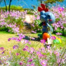 대황강자연휴식공원 이미지