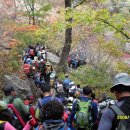 서부소공원 이미지