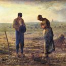 신성석유(주) | 고흐는 죽은 스승에게 받은 씨앗을 화폭에 뿌렸다