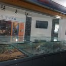 광양 김 시식지 이미지