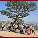 퍼스트태권도&점핑클럽 이미지