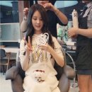 서현애견미용실 이미지