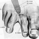 우리몸의 해열제 혈자리- 내정혈 이미지