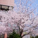 뽀빠이 로컬푸드 이미지