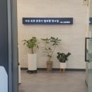 삼호어학원