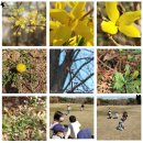 헤세드영재학원