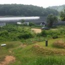 서구-01-06 이미지