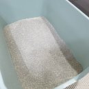 하나가축인공수정소 | 고양이 모래 탈취제 추천, 먹어도 안전한 천연 원료 가스케어펫 찐 후기!