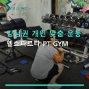 강남권 개인 맞춤 운동 헬스파르타 PT GYM 회당 2만9천원 이용법과 후기