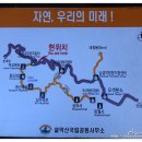 대봉약수터 티스토리