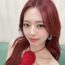 레드미장원
