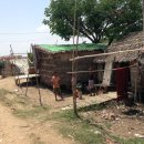 [양곤] 미얀마 현지인들의 거주지역 - 양곤강 건너 달라 뱀부 빌리지 Dala Bamboo Village 이미지