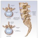 경희김세윤한의원 이미지